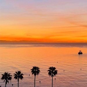 Meet your Posher, Maya